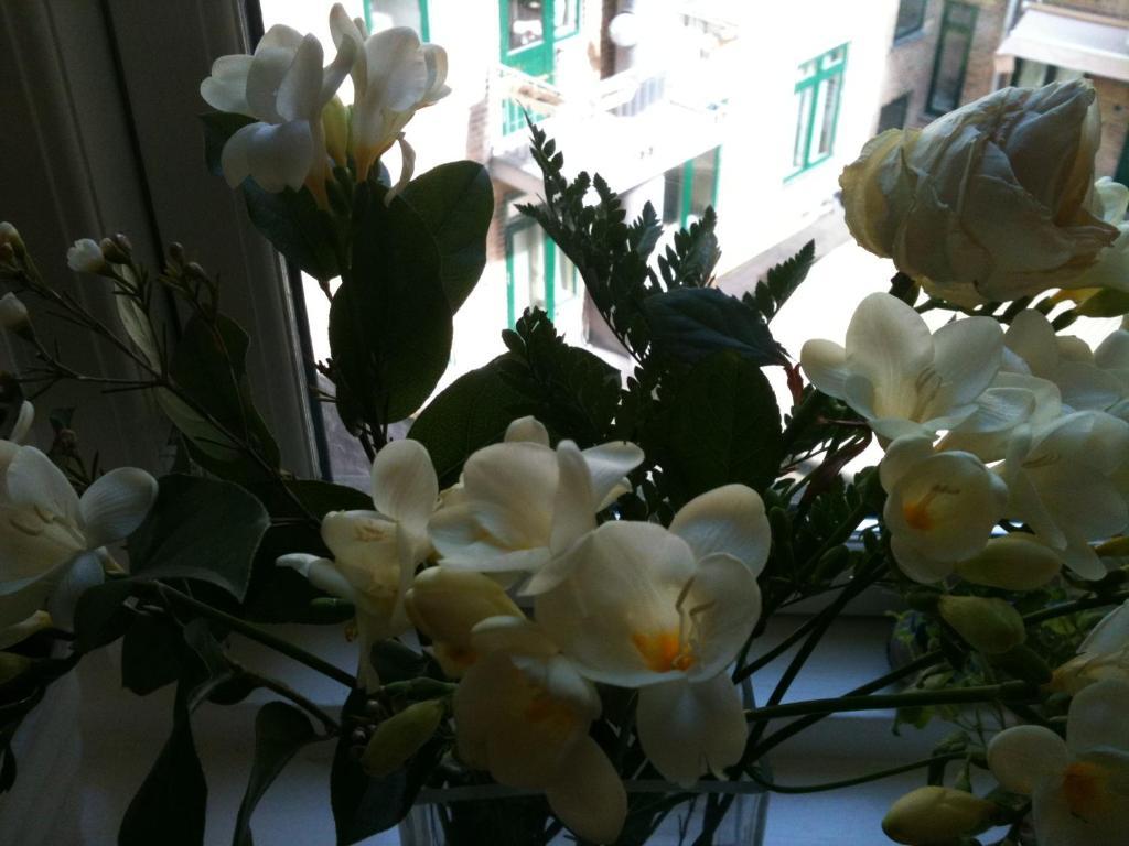 كوبنهاجن The Pea Blossom B&B المظهر الخارجي الصورة